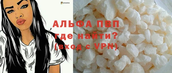 прущие грибы Краснослободск